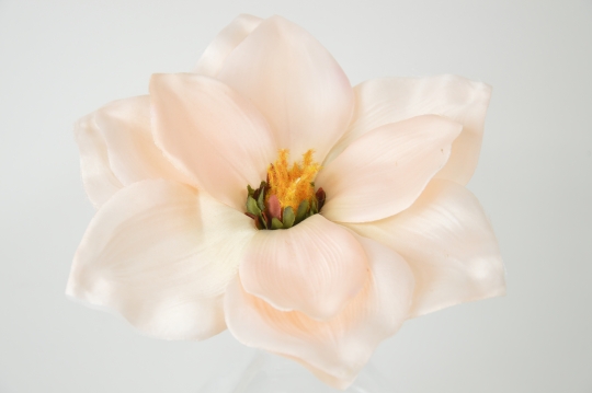 Miniatura: Magnolia mix 9 kolorów