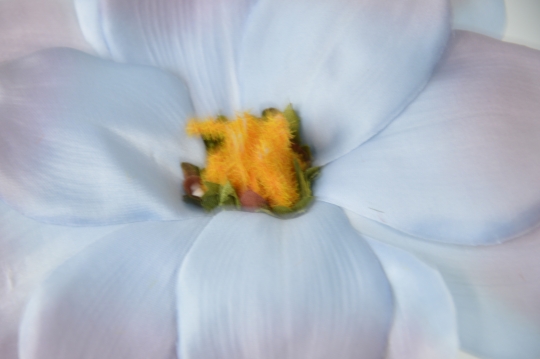 Miniatura: Magnolia mix 9 kolorów