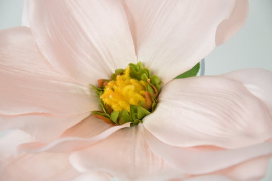 Miniatura: Magnolia mix 9 kolorów