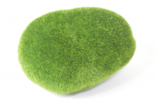 Miniatura: Kamień z mchu