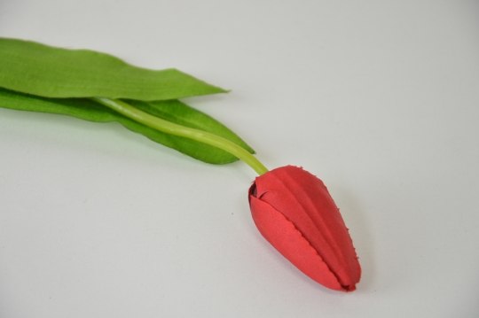 Miniatura: Tulipan mix 7 kolorów