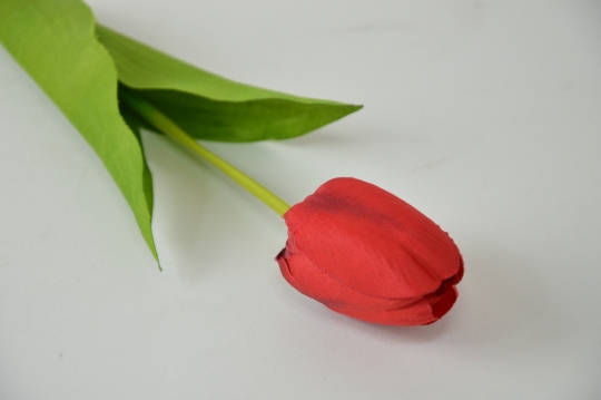 Miniatura: Tulipan pojedyńczy mix 6 kolorów