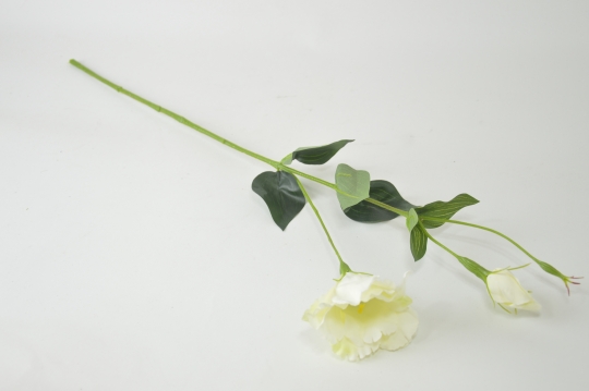 Miniatura: Eustoma mix kolorów