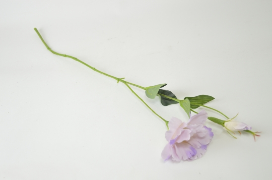 Miniatura: Eustoma mix kolorów
