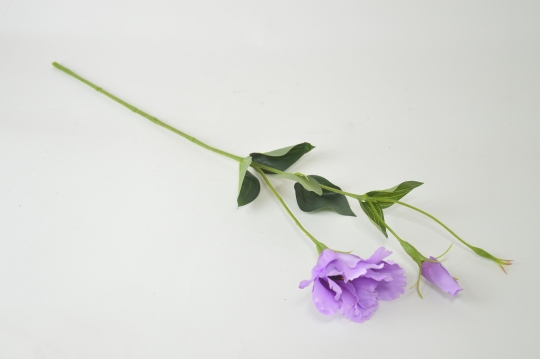 Miniatura: Eustoma mix kolorów