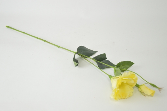 Miniatura: Eustoma mix kolorów