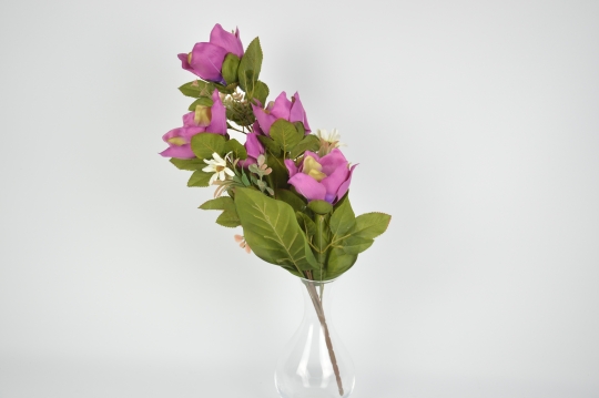Miniatura: Bukiet magnolii