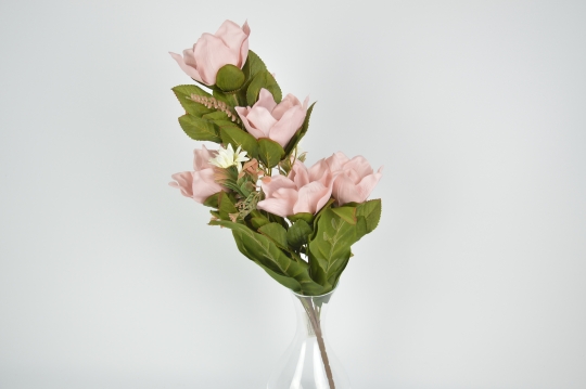 Miniatura: Bukiet magnolii