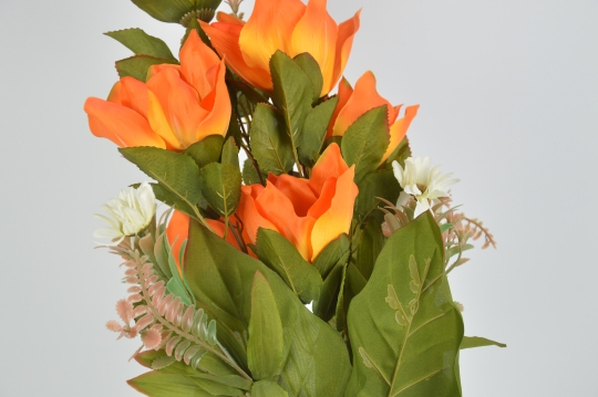 Miniatura: Bukiet magnolii