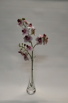 Miniatura: P145