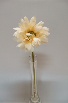 Miniatura: Gerbera wazonów mix