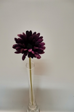 Miniatura: Gerbera wazonów mix