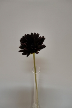 Miniatura: Gerbera wazonów mix