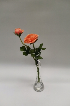 Miniatura: Jaskier"2"