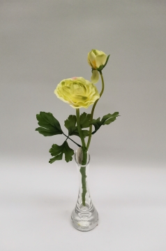 Miniatura: Jaskier"2"