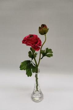 Miniatura: Jaskier"2"