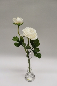 Miniatura: Jaskier"2"