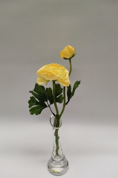 Miniatura: Jaskier"2"