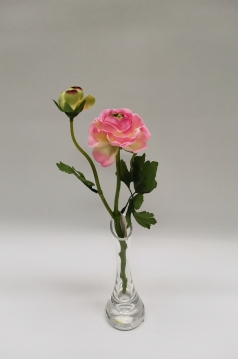 Miniatura: Jaskier"2"