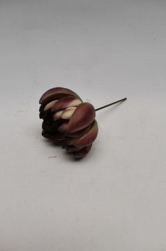 Miniatura: SUKULENT