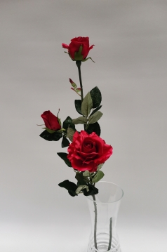 Miniatura: Róża ''3'' bordowa