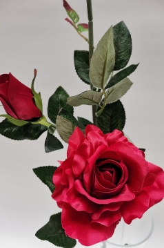 Miniatura: Róża ''3'' bordowa