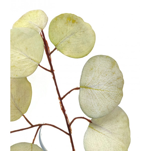 Miniatura: Sztuczna gałązka eukaliptusa 30 cm – kolorowy mix, dekoracja florystyczna