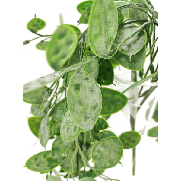 Miniatura: Sztuczna zielona gałązka miechunki 80 cm – dekoracyjny dodatek florystyczny