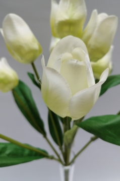 Miniatura: Bukiet tulipanów 