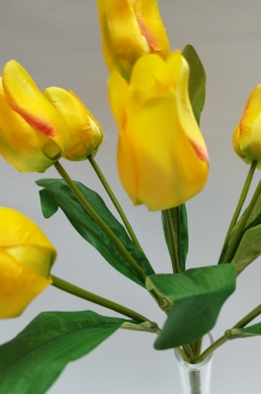 Miniatura: Bukiet tulipanów 