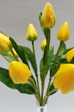 Miniatura: Bukiet tulipanów 