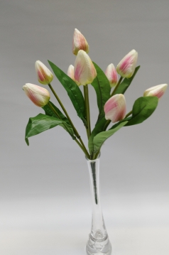 Miniatura: Bukiet tulipanów 
