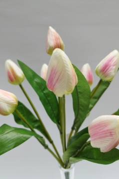 Miniatura: Bukiet tulipanów 