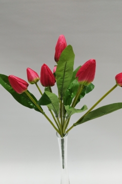 Miniatura: Bukiet tulipanów 