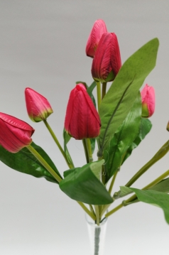 Miniatura: Bukiet tulipanów 