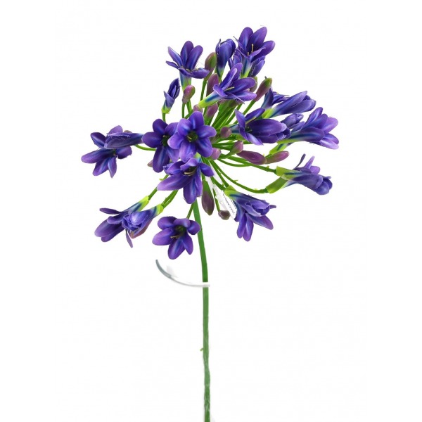 Miniatura: Sztuczny agapant 72 cm