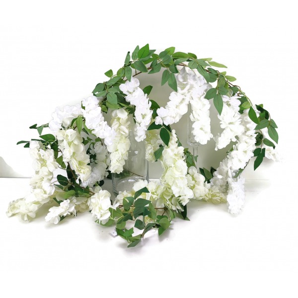 Miniatura: wisteria -zwis