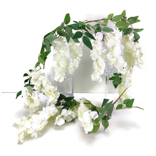 Miniatura: wisteria -zwis