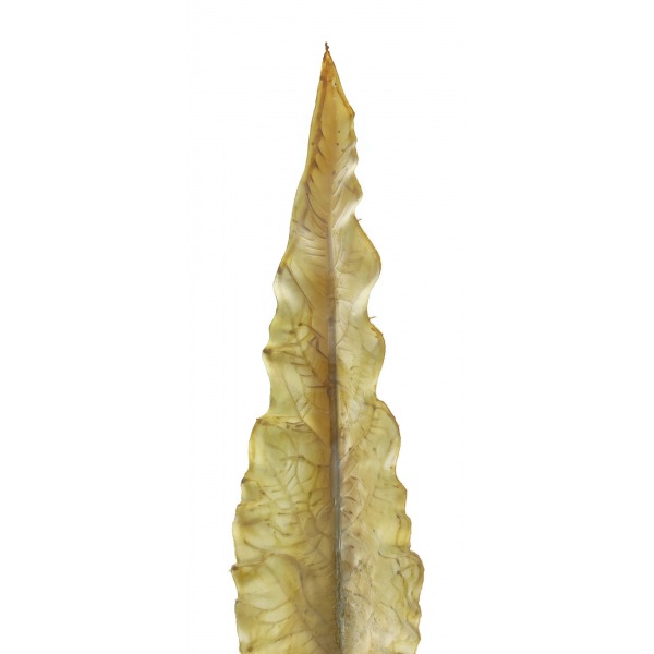 Miniatura: Sztuczny długi liść omszały 80 cm – dekoracyjny, mix kolorów