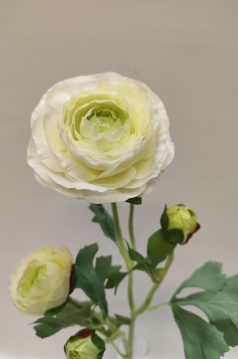 Miniatura: Pełnik gałązka silikon